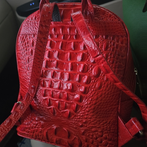 Red Textured Backpack - Picture 2 of 7